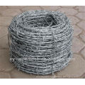 Galvanized barbed wire mesh/PVC coated barbed wire (Manufacturer)